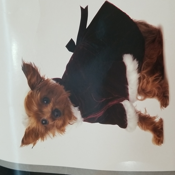 NWT Victorian Style Burgundy Velvet Dog Coat Small - Picture 16 of 16